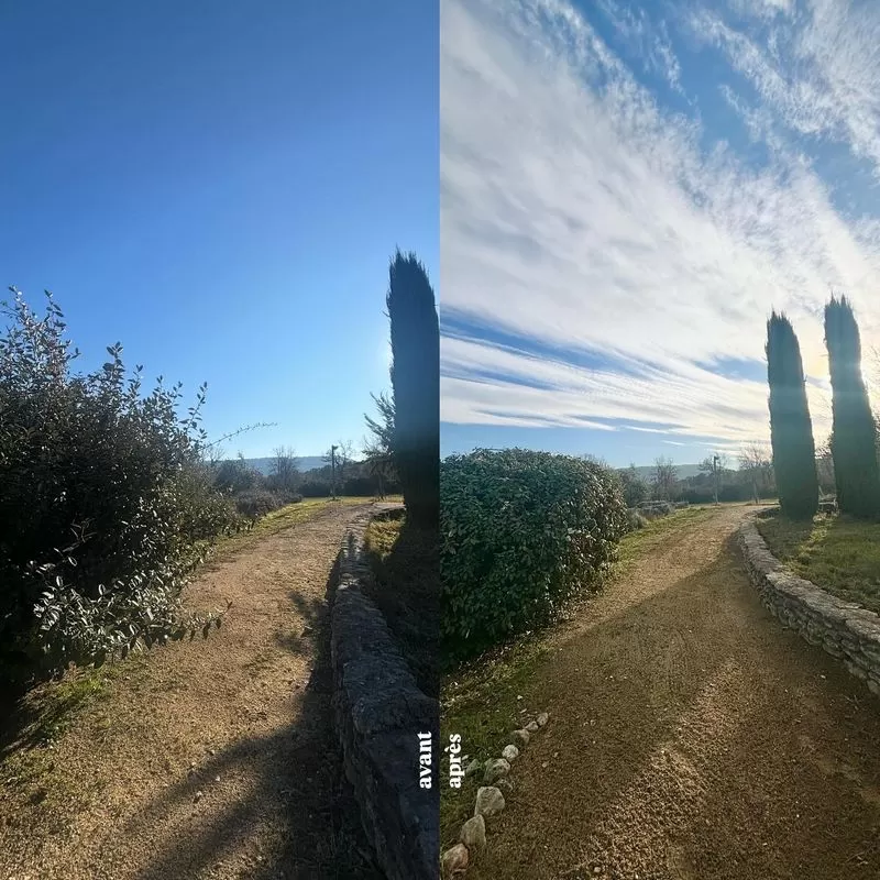 Taille et élagage, Cadenet, Nathan Muretta